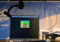 Sigrow had ook een thermische bladcamera opgesteld, waarbij de meetgegevens teruggekoppeld kunnen worden naar het klimaat en de vitaliteit van de plant. De fotograaf op de foto bleek op basis van de gegevens gelukkig kerngezond.